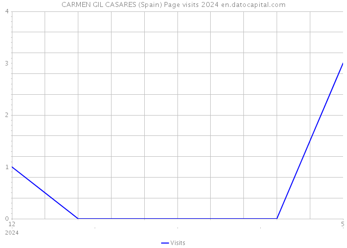 CARMEN GIL CASARES (Spain) Page visits 2024 