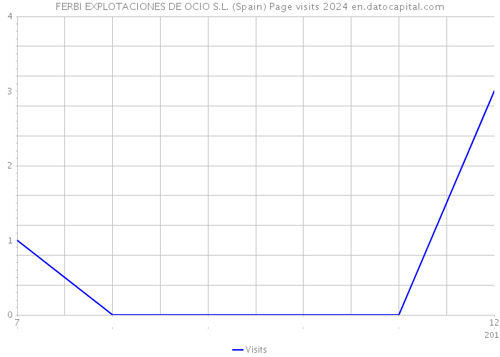 FERBI EXPLOTACIONES DE OCIO S.L. (Spain) Page visits 2024 