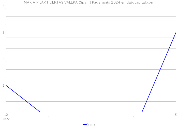MARIA PILAR HUERTAS VALERA (Spain) Page visits 2024 