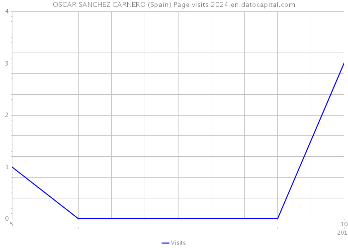 OSCAR SANCHEZ CARNERO (Spain) Page visits 2024 