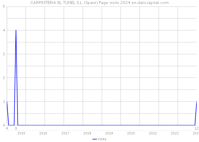 CARPINTERIA EL TUNEL S.L. (Spain) Page visits 2024 