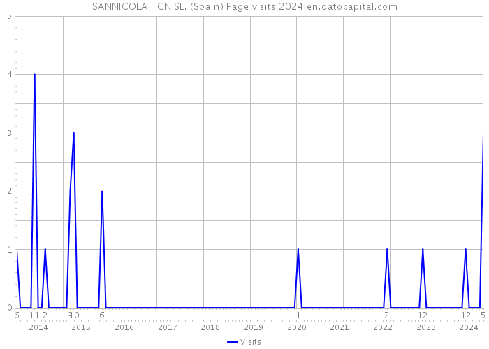 SANNICOLA TCN SL. (Spain) Page visits 2024 