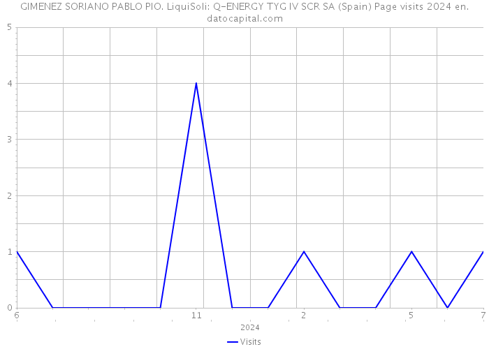 GIMENEZ SORIANO PABLO PIO. LiquiSoli: Q-ENERGY TYG IV SCR SA (Spain) Page visits 2024 