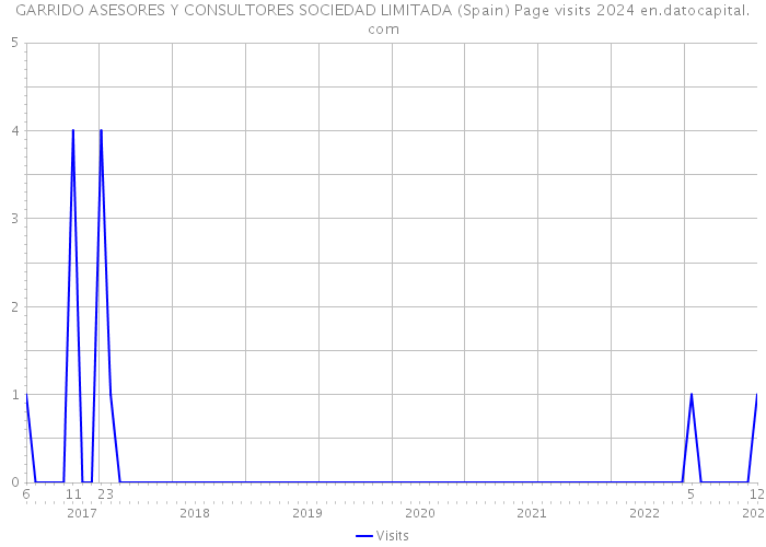 GARRIDO ASESORES Y CONSULTORES SOCIEDAD LIMITADA (Spain) Page visits 2024 