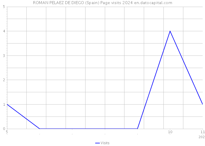 ROMAN PELAEZ DE DIEGO (Spain) Page visits 2024 