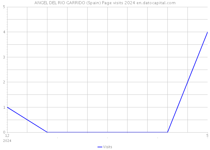ANGEL DEL RIO GARRIDO (Spain) Page visits 2024 