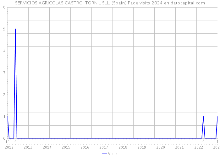 SERVICIOS AGRICOLAS CASTRO-TORNIL SLL. (Spain) Page visits 2024 