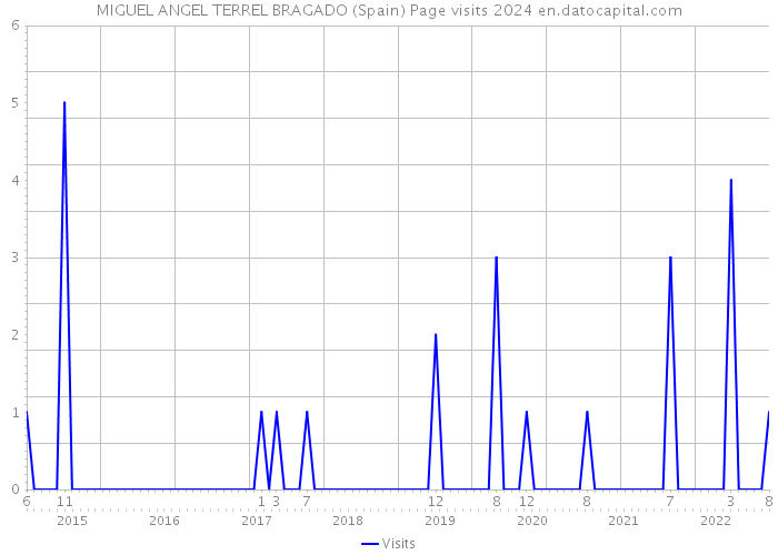 MIGUEL ANGEL TERREL BRAGADO (Spain) Page visits 2024 