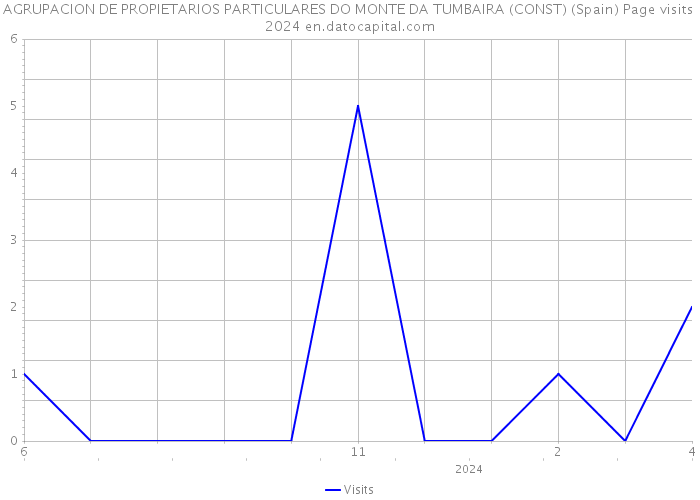 AGRUPACION DE PROPIETARIOS PARTICULARES DO MONTE DA TUMBAIRA (CONST) (Spain) Page visits 2024 