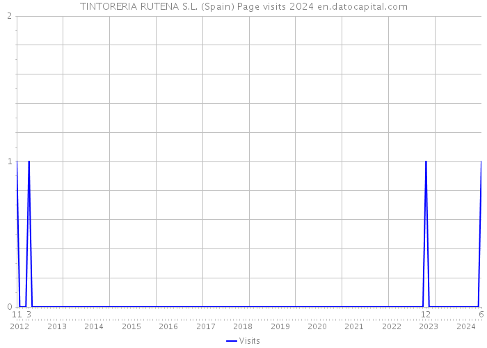 TINTORERIA RUTENA S.L. (Spain) Page visits 2024 