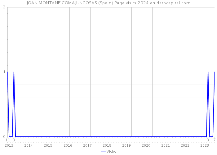 JOAN MONTANE COMAJUNCOSAS (Spain) Page visits 2024 
