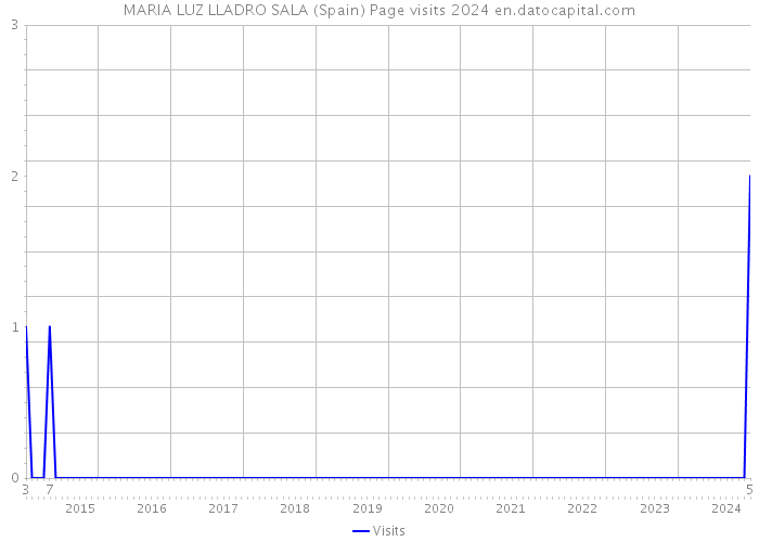 MARIA LUZ LLADRO SALA (Spain) Page visits 2024 