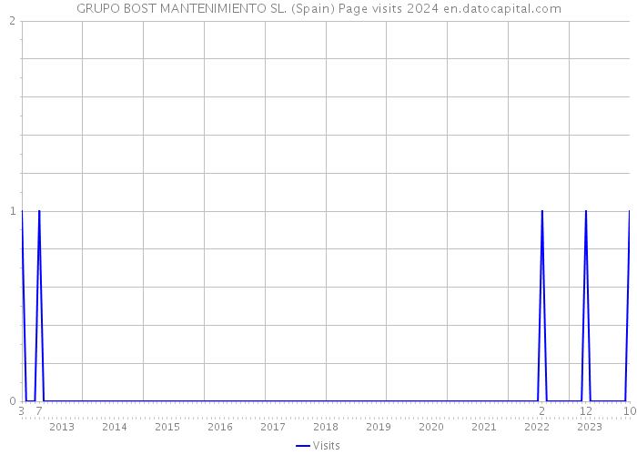 GRUPO BOST MANTENIMIENTO SL. (Spain) Page visits 2024 