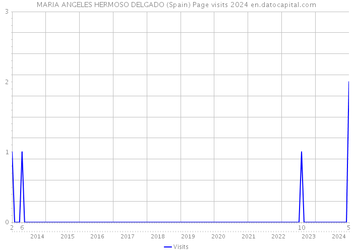MARIA ANGELES HERMOSO DELGADO (Spain) Page visits 2024 