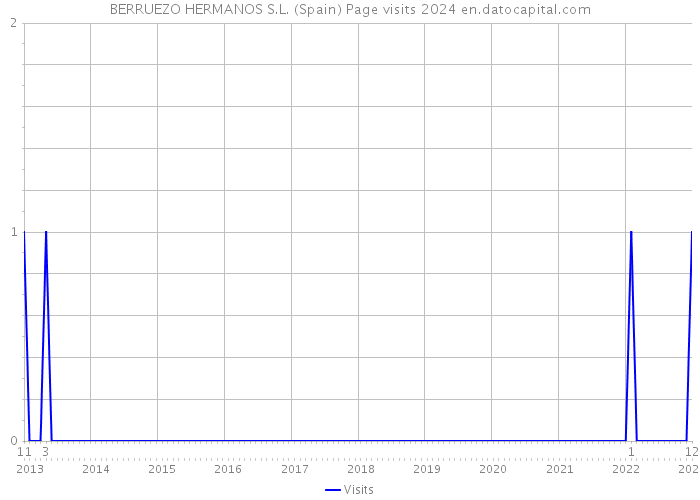 BERRUEZO HERMANOS S.L. (Spain) Page visits 2024 