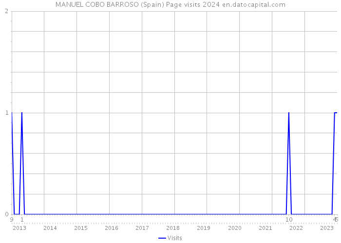 MANUEL COBO BARROSO (Spain) Page visits 2024 