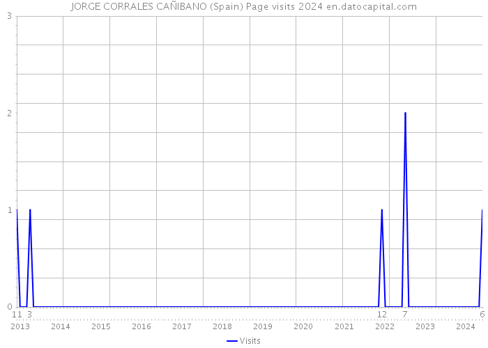 JORGE CORRALES CAÑIBANO (Spain) Page visits 2024 