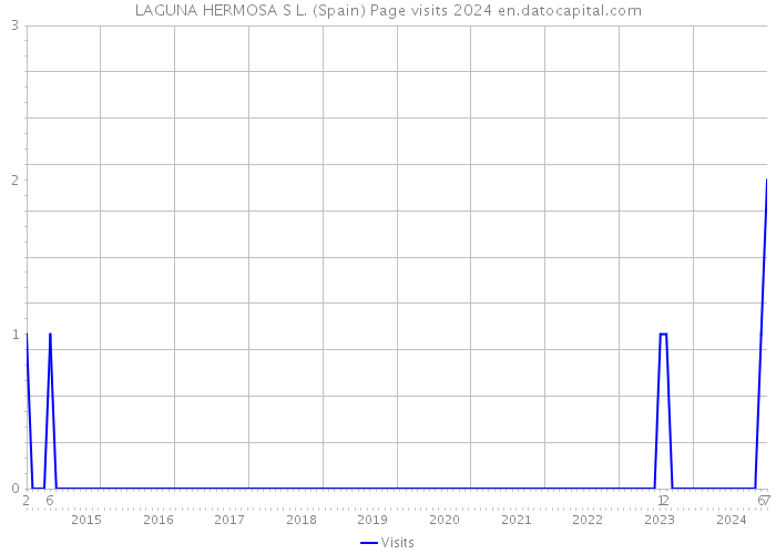 LAGUNA HERMOSA S L. (Spain) Page visits 2024 