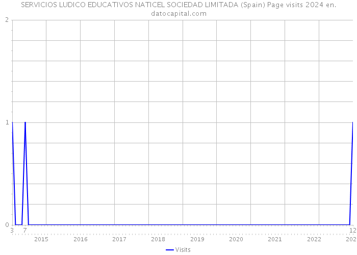 SERVICIOS LUDICO EDUCATIVOS NATICEL SOCIEDAD LIMITADA (Spain) Page visits 2024 