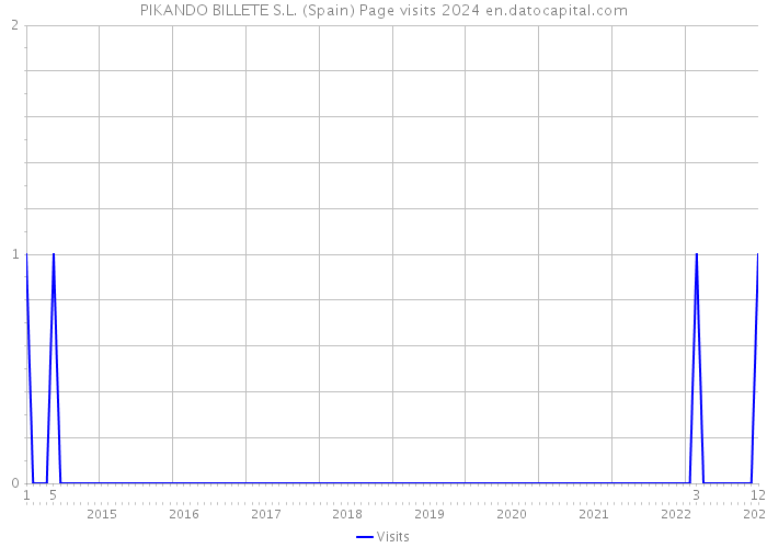 PIKANDO BILLETE S.L. (Spain) Page visits 2024 