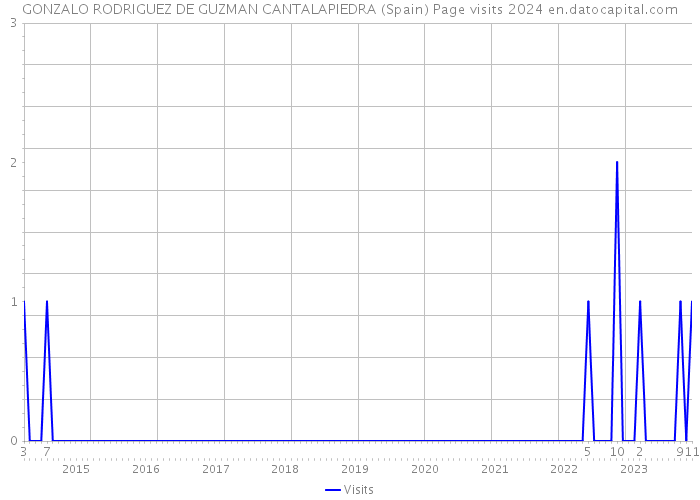 GONZALO RODRIGUEZ DE GUZMAN CANTALAPIEDRA (Spain) Page visits 2024 