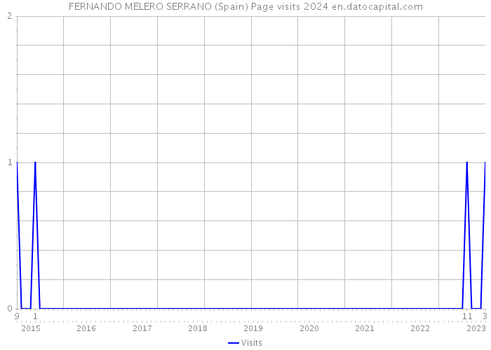 FERNANDO MELERO SERRANO (Spain) Page visits 2024 