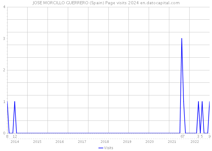JOSE MORCILLO GUERRERO (Spain) Page visits 2024 