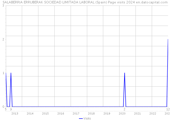 SALABERRIA ERRUBERAK SOCIEDAD LIMITADA LABORAL (Spain) Page visits 2024 