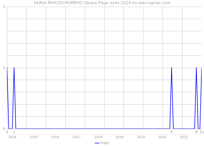 NURIA RINCON MORENO (Spain) Page visits 2024 