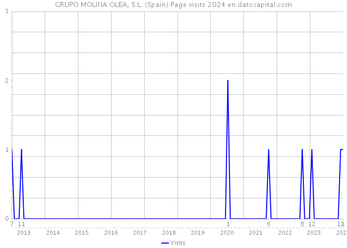 GRUPO MOLINA OLEA, S.L. (Spain) Page visits 2024 