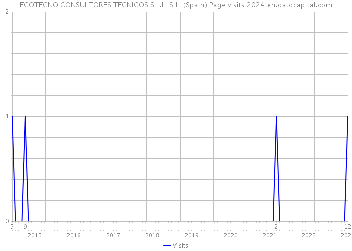 ECOTECNO CONSULTORES TECNICOS S.L.L S.L. (Spain) Page visits 2024 