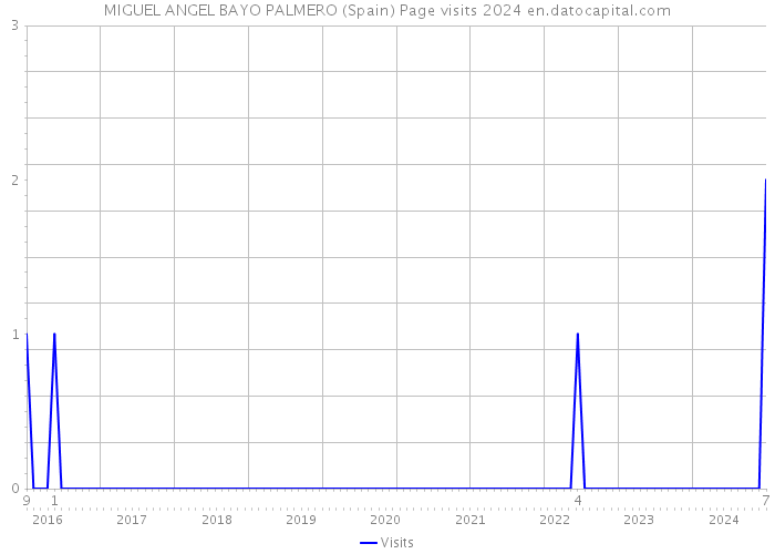 MIGUEL ANGEL BAYO PALMERO (Spain) Page visits 2024 