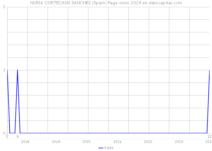 NURIA CORTECANS SANCHEZ (Spain) Page visits 2024 