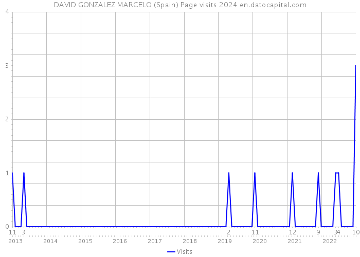 DAVID GONZALEZ MARCELO (Spain) Page visits 2024 