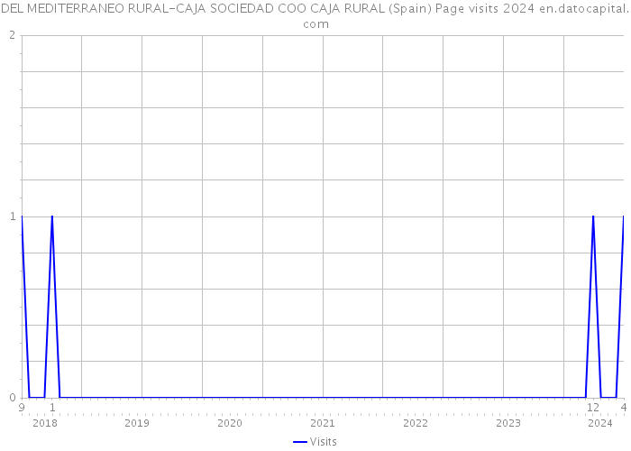 DEL MEDITERRANEO RURAL-CAJA SOCIEDAD COO CAJA RURAL (Spain) Page visits 2024 