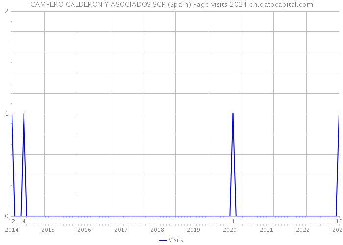 CAMPERO CALDERON Y ASOCIADOS SCP (Spain) Page visits 2024 