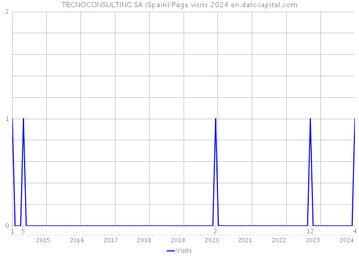 TECNOCONSULTING SA (Spain) Page visits 2024 