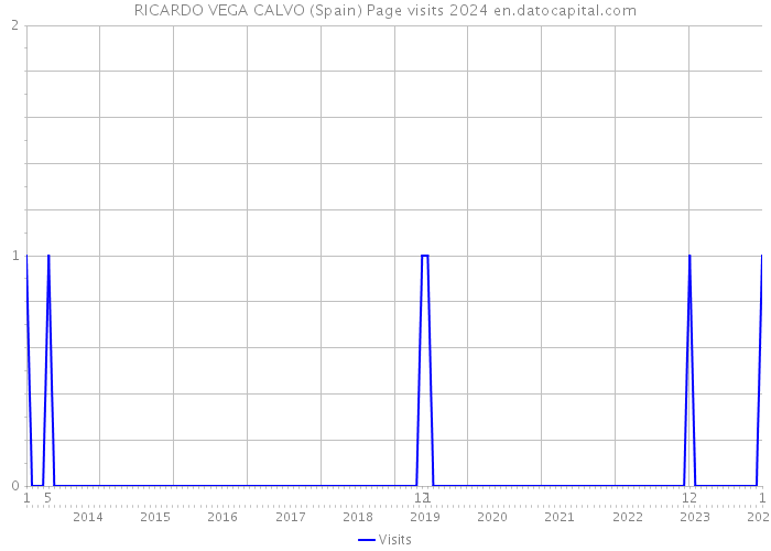 RICARDO VEGA CALVO (Spain) Page visits 2024 