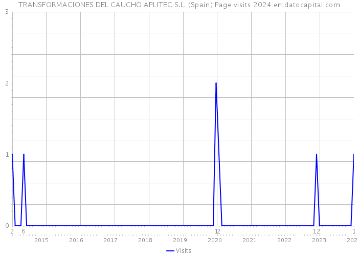 TRANSFORMACIONES DEL CAUCHO APLITEC S.L. (Spain) Page visits 2024 