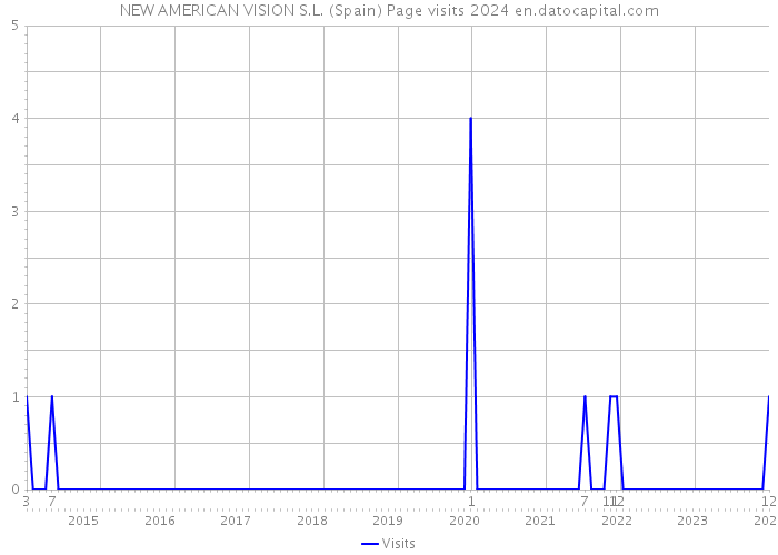 NEW AMERICAN VISION S.L. (Spain) Page visits 2024 