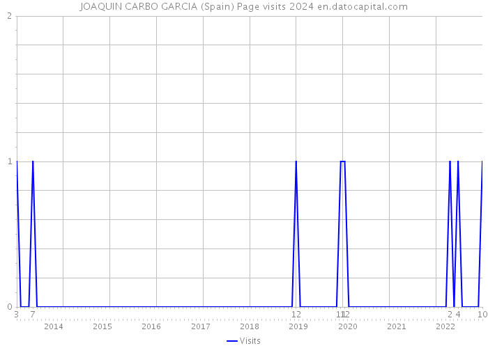 JOAQUIN CARBO GARCIA (Spain) Page visits 2024 