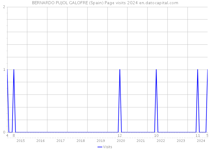 BERNARDO PUJOL GALOFRE (Spain) Page visits 2024 