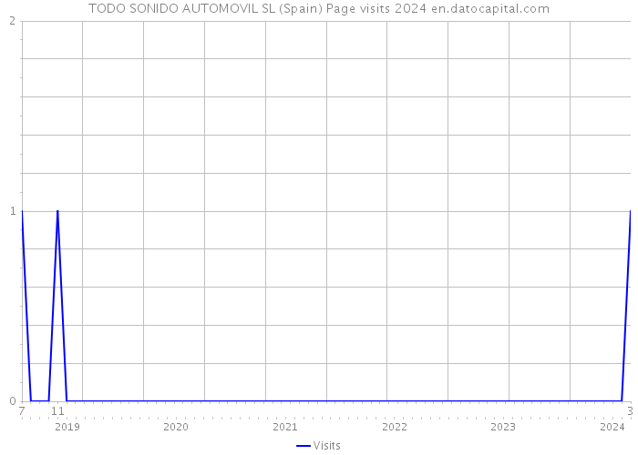 TODO SONIDO AUTOMOVIL SL (Spain) Page visits 2024 