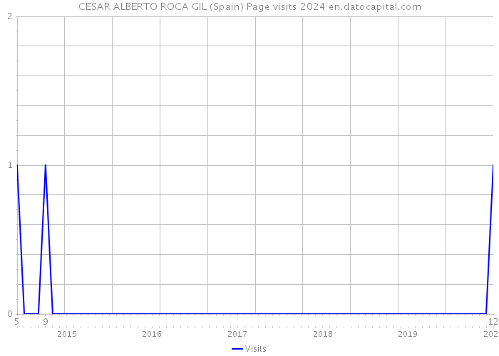 CESAR ALBERTO ROCA GIL (Spain) Page visits 2024 