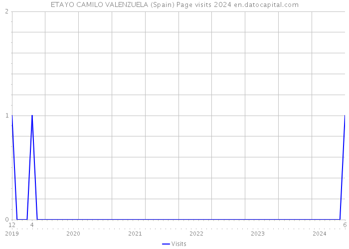 ETAYO CAMILO VALENZUELA (Spain) Page visits 2024 