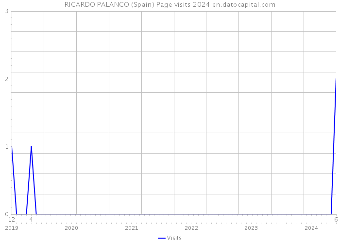 RICARDO PALANCO (Spain) Page visits 2024 