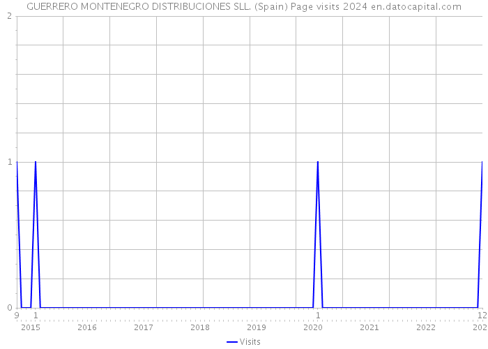 GUERRERO MONTENEGRO DISTRIBUCIONES SLL. (Spain) Page visits 2024 
