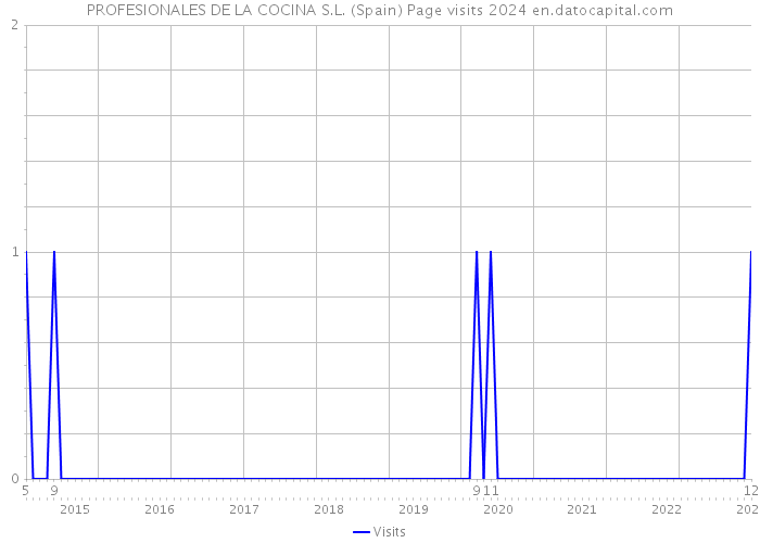 PROFESIONALES DE LA COCINA S.L. (Spain) Page visits 2024 