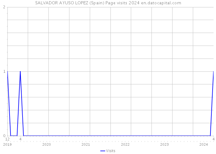 SALVADOR AYUSO LOPEZ (Spain) Page visits 2024 