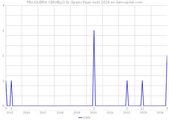PELUQUERIA CERVELLO SL (Spain) Page visits 2024 